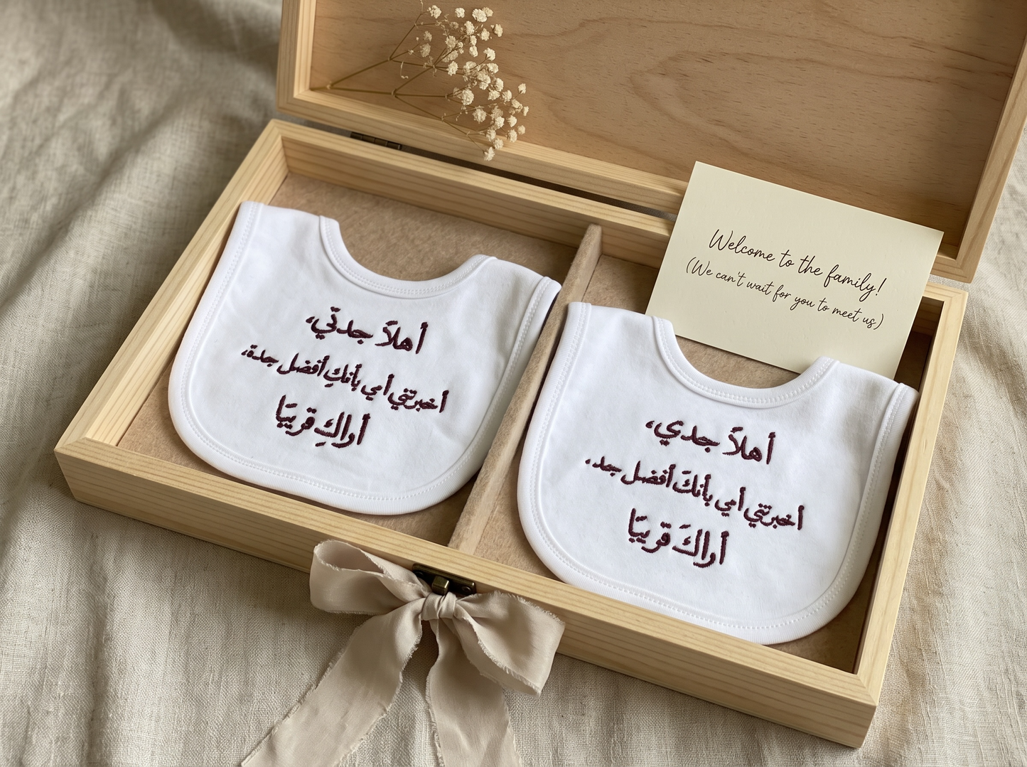 Pregnancy Announcement Bibs